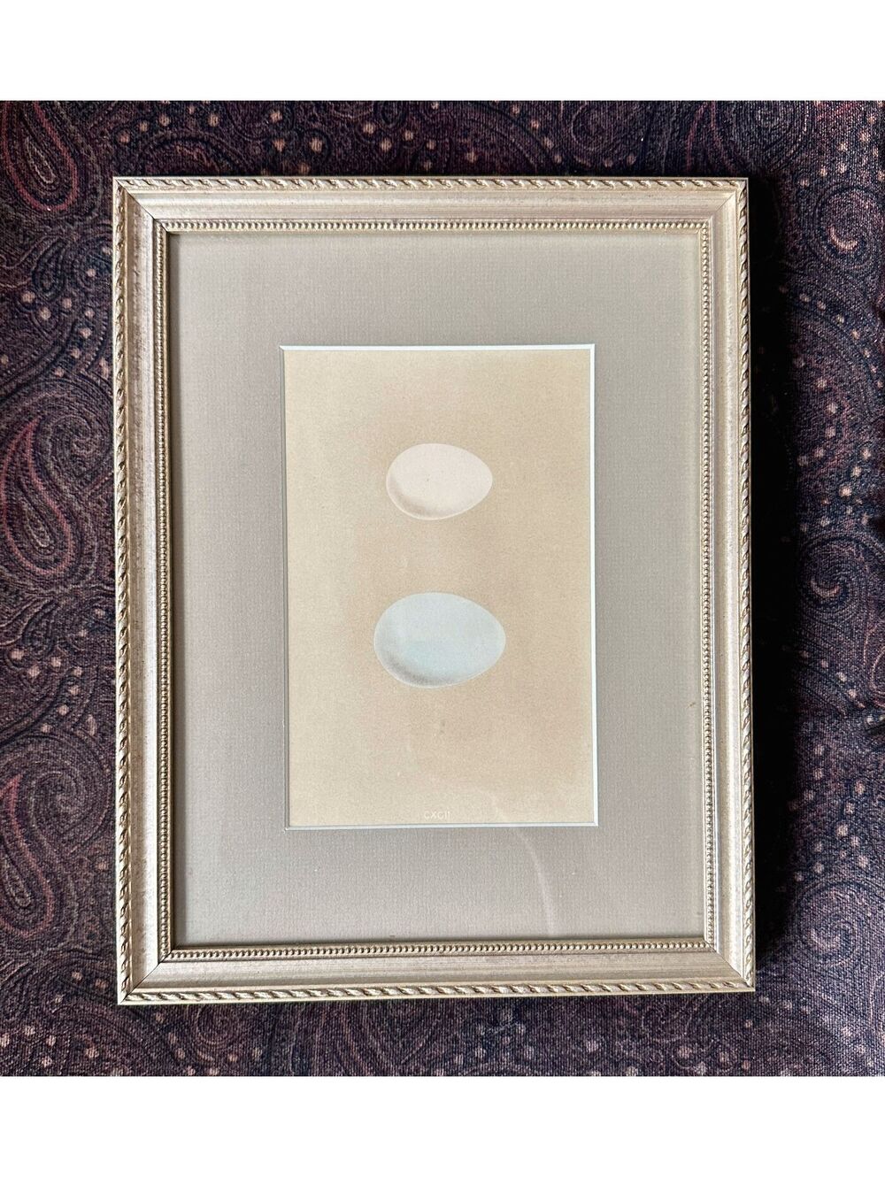 Framed Art Print Eggs 13x10 Gold Frame Matted Country Farm Kitchen Wall Decor